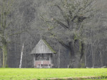 Kroezeboom met Landkruis Heilig Hartkapel